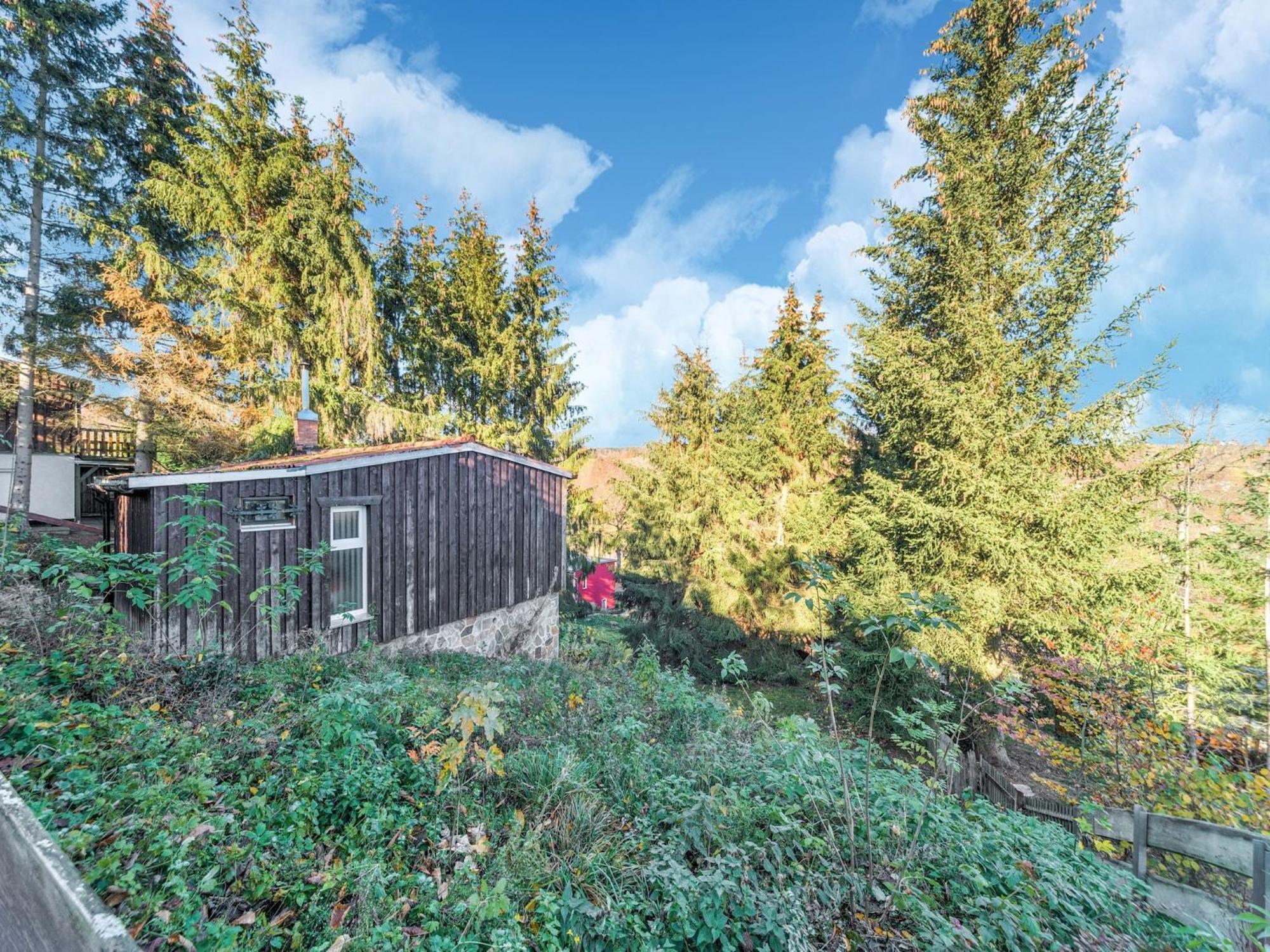 Güntersberge Comely Holiday Home In G Ntersberge Near Forest מראה חיצוני תמונה
