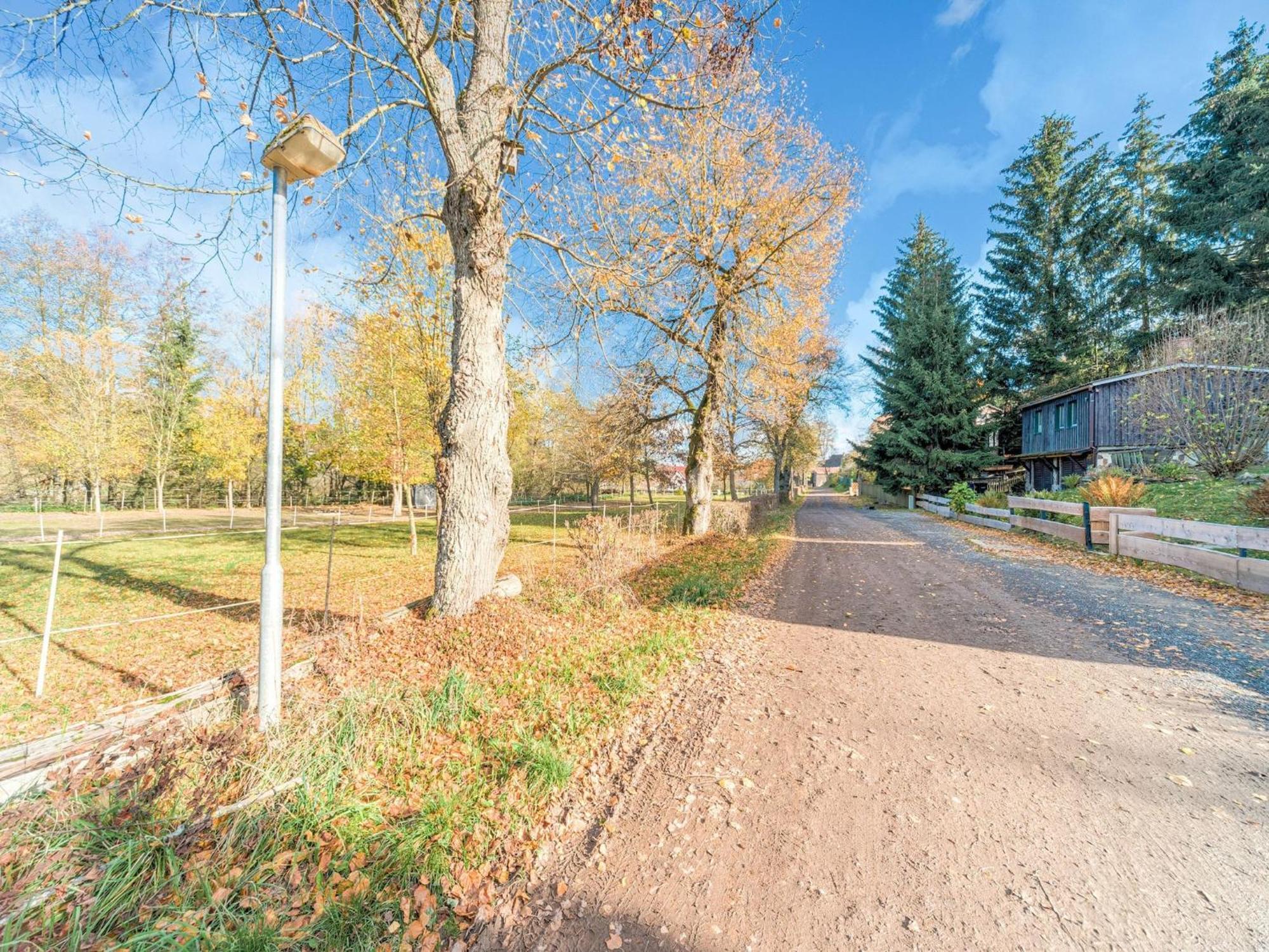 Güntersberge Comely Holiday Home In G Ntersberge Near Forest מראה חיצוני תמונה
